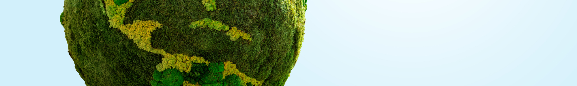 Istock 1458492588